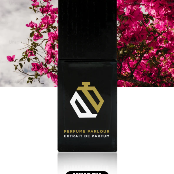 Avalanche-Rouge_