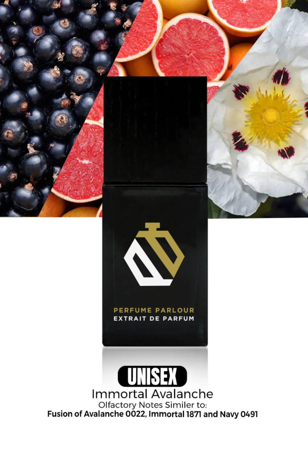 Immortal-Avalanche–1025