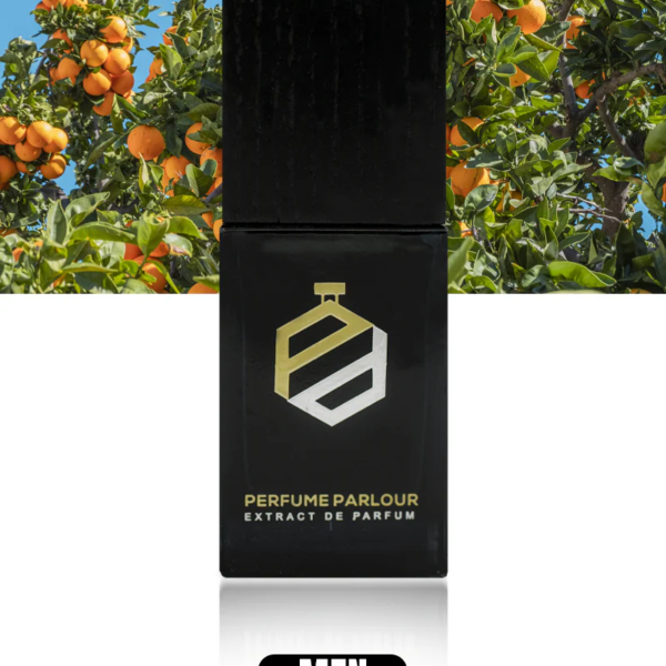 Nation_20Shrub