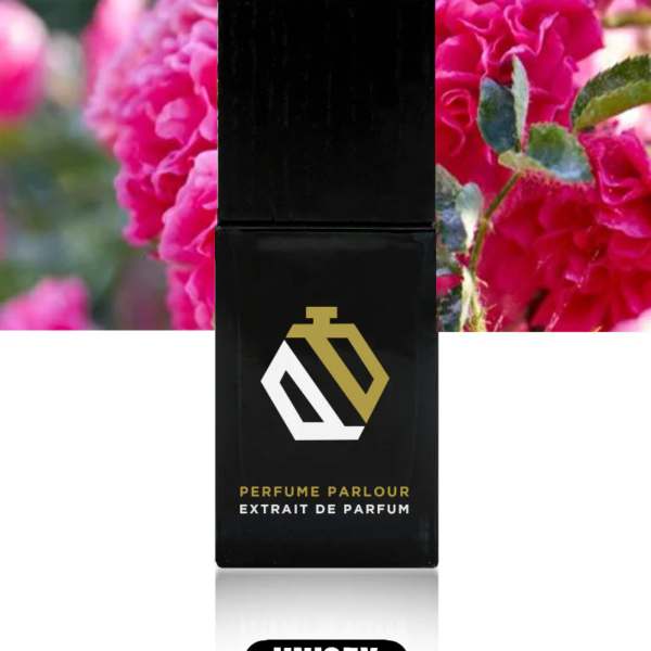 Energetic-Flower_c7cde558-d9d6-47d0-8fc5-4195faf973d6