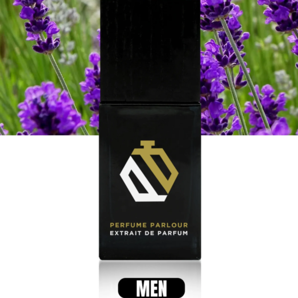 Highlight-II-For-Men—0532