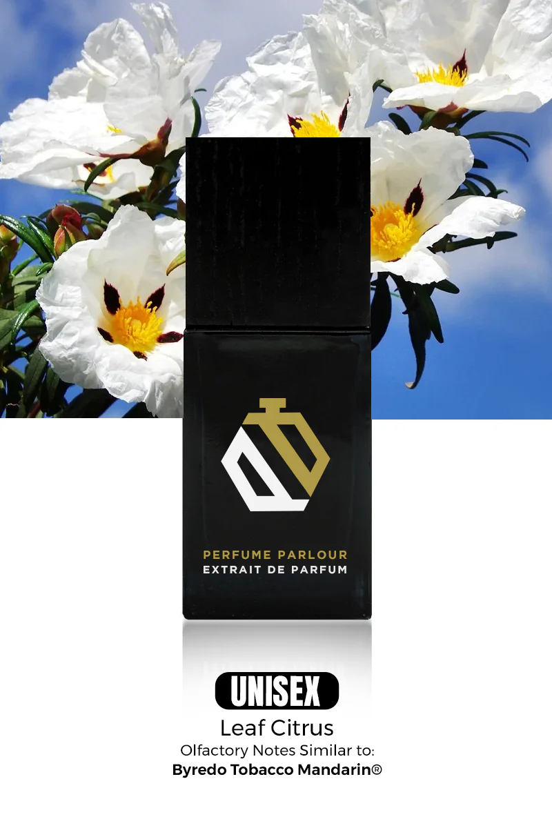 Leaf-Citrus_e496beef-f07d-4c31-a2b4-881aee0b643b