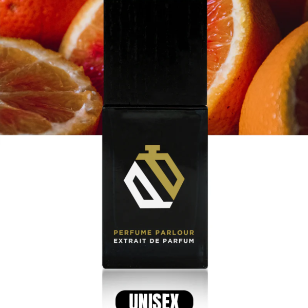 Noon-Dip_5a72c25e-83c0-4896-a7f2-b316c9301107