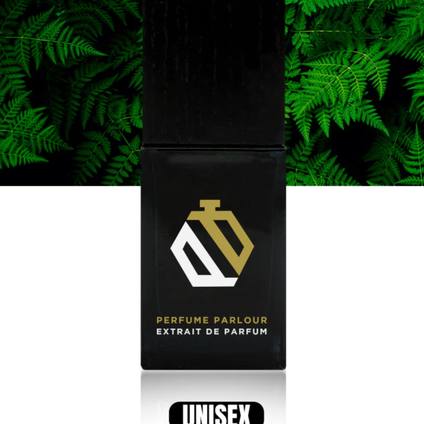 Aniseed_ca3a1792-59bc-4397-808f-69eab763b0de