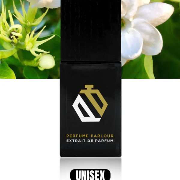 Great-Sea_5eef3c94-d512-4117-9dbf-dc509e23051d (1)