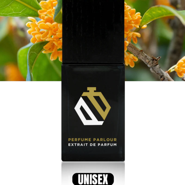 Jupiter_956d94e4-8e0d-4710-b0a6-4cd606354406