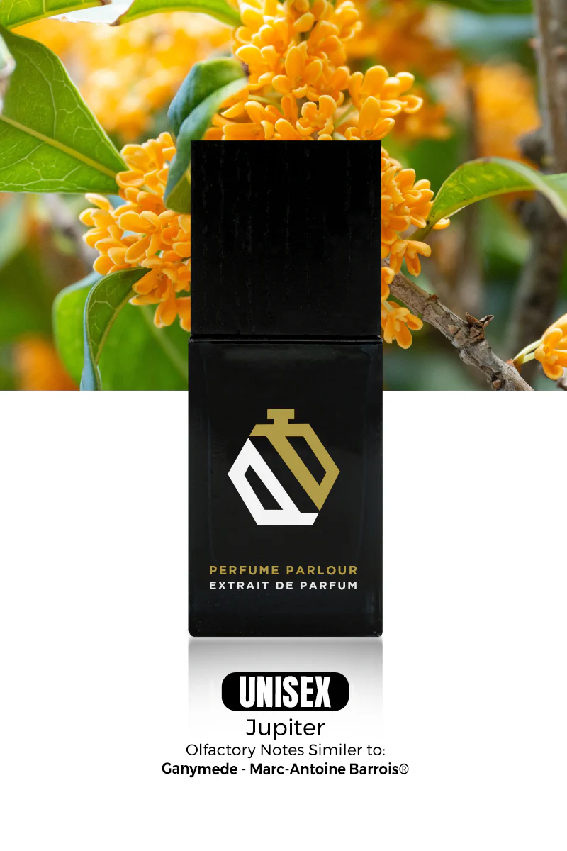 Jupiter_956d94e4-8e0d-4710-b0a6-4cd606354406