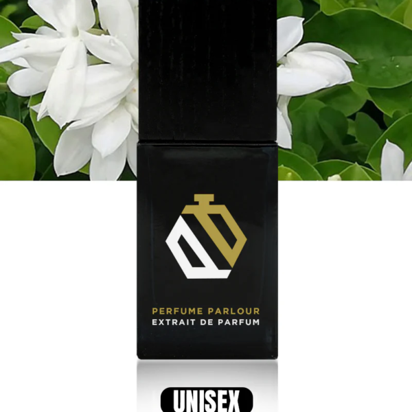 Night-Wood_6fcfdd32-fed0-4b07-b55d-3ca592ed96b5