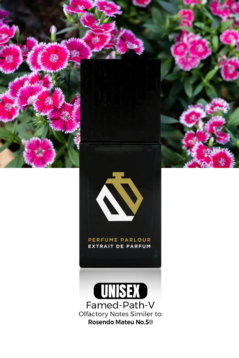 Famed-Path-V_7e821a68-e24e-4322-8990-5689763692de