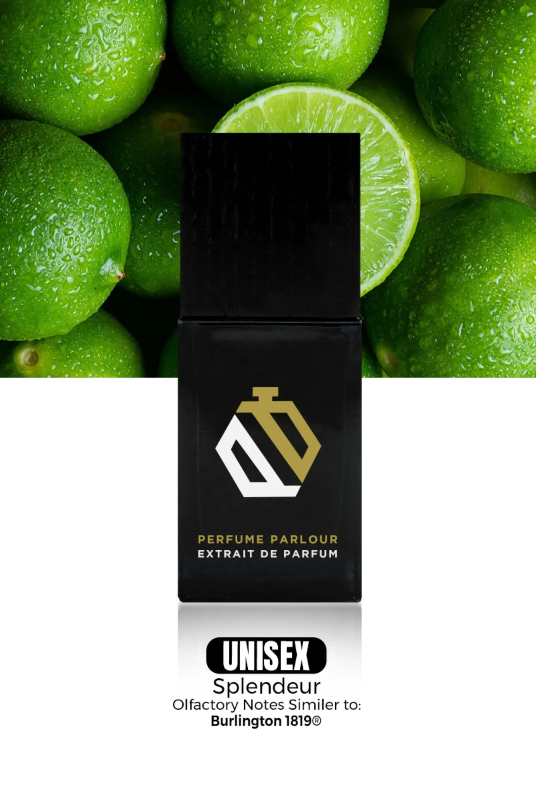 Victorian-Symphony—0853