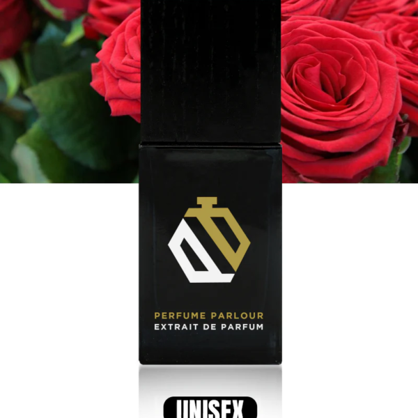 Avalanche-Extra_45aab2a4-99d7-4ccd-8c01-ab9f47065450