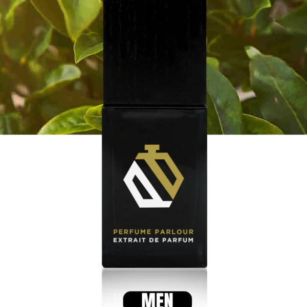 Triumphing-For-Men
