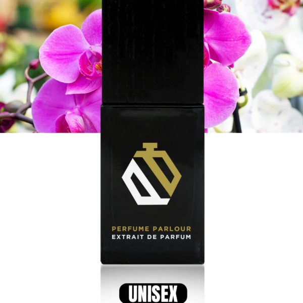 French-Name_88459c62-15b2-49c6-bf02-b3de8d6457ff