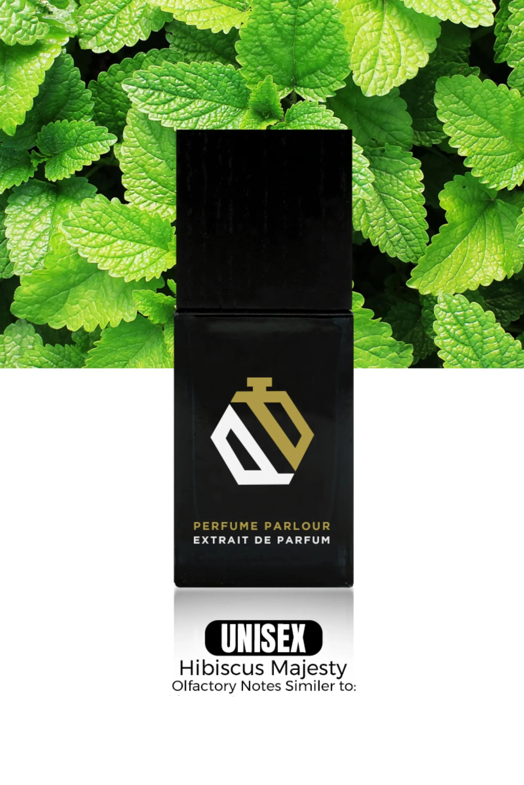 Hibiscus-Majesty—0255